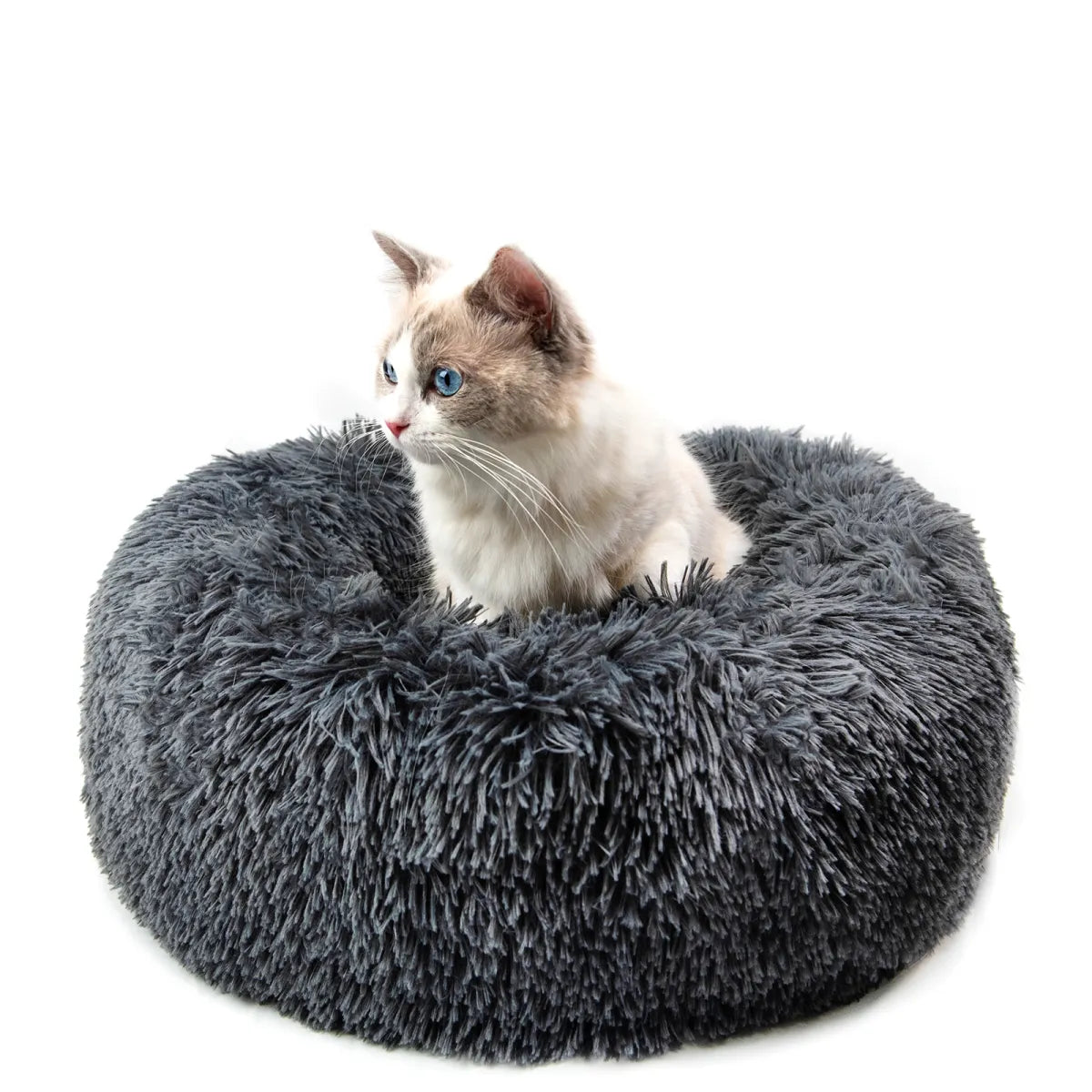 Cushion Cat Cave Bed