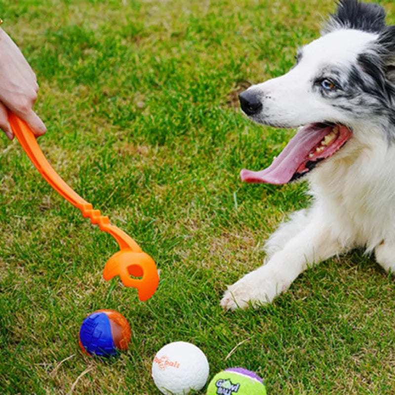 Sport Ball Launcher Dog Toy